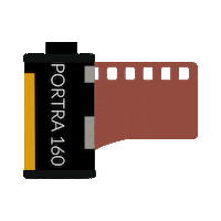 kodak analog photography Sticker by Pellicola Magazine