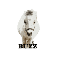 Hunter Jumper Sticker by WIT Equestrian Clothing Co.