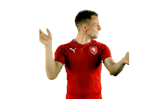 Czech Republic Ceskarepre Sticker by 2score