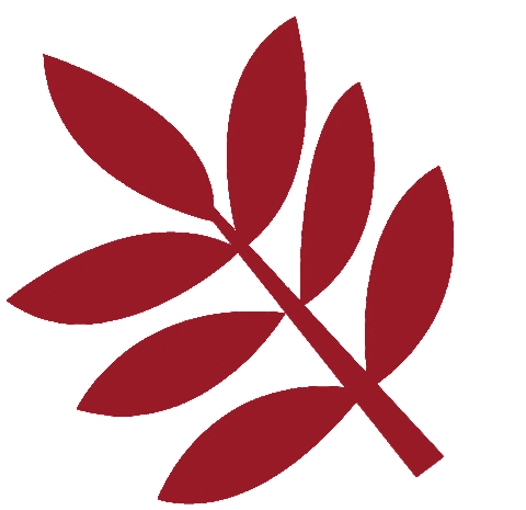 estudiobizu giphyupload plant plantlover dpv Sticker