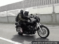chopper GIF