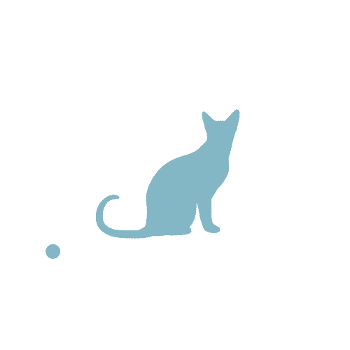 alibasdaysar giphyupload cat logo design Sticker
