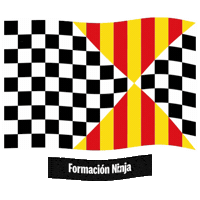 Flag Spain Sticker by Formación Ninja