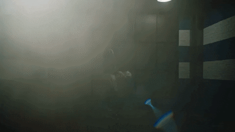 Football Sport GIF by Indianapolis Colts