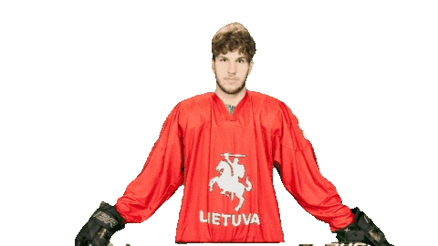 Hockey Sticker by ledoritulys.lt