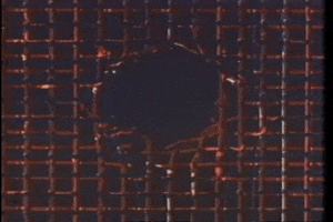 The Fly GIF