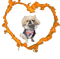 Team Pekingese Sticker by Caravan of Paws
