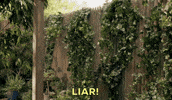 Lying Liar Liar GIF by CBS