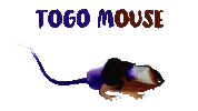 Endangered Species Mouse Sticker by Re:wild