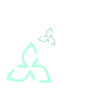 Flower Spring Sticker by mazistebuklai