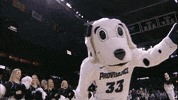 big east dance GIF by BIG EAST Conference