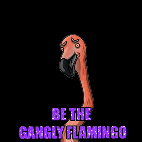 Alcohol Free Sobriety GIF by Gangly Flamingo Podcast