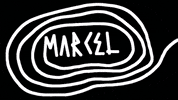 Ant Farm Eyewear GIF by Marcel Katz Dalí / The Art Plug