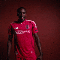 Fall Stl GIF by St. Louis CITY SC