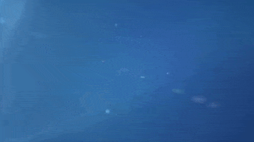 logo GIF by Laurentian University