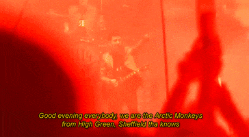 glastonbury monkeys GIF