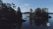 West Coast Bc GIF by Smart City Media
