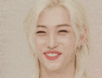 Stray Kids Skz GIF