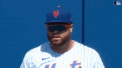 Excited Ny Mets GIF by New York Mets