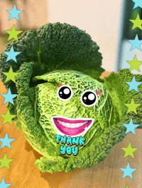 Thanks Thank You GIF