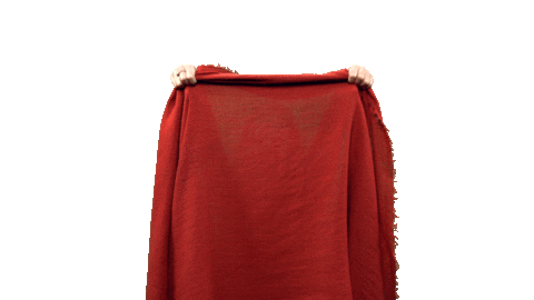 CopperGorgeous giphyupload new post reveal suzan silvius Sticker