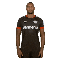 Posing Bayer 04 Sticker by Bundesliga