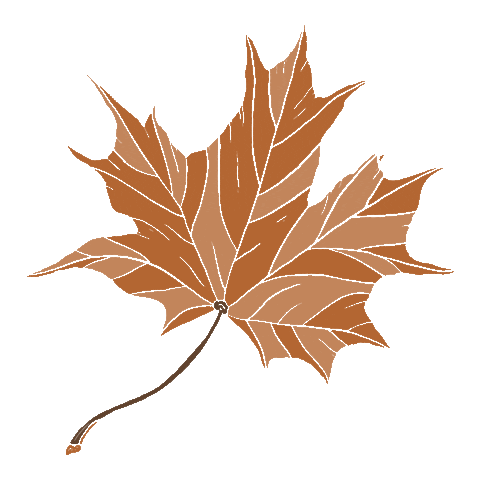 victoriacodesign giphyupload fall autumn tree Sticker