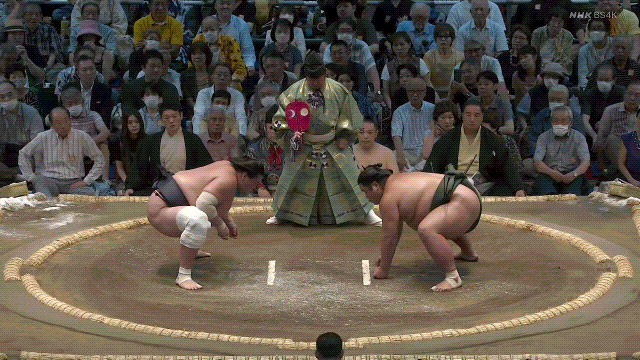 TZ85 giphyupload sumo 2023 nagoya basho nishikigi GIF