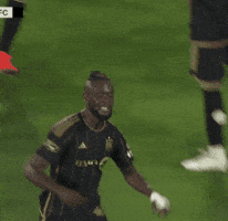 Regular Season Love GIF by Major League Soccer
