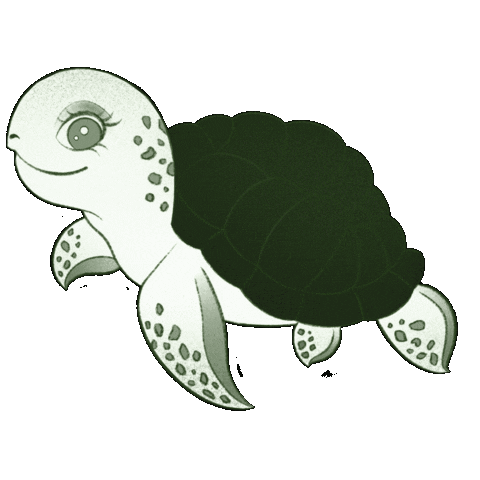 Turtle Sticker