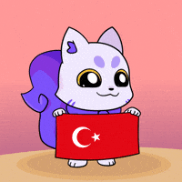 Flag Turkey GIF by Lucky Kat Studios