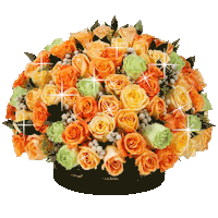 OnlyRoses love flowers romance valentines day Sticker