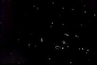 vfxapp noise static 8mm 16mm GIF