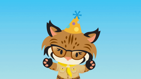 appexchange giphyupload cat celebrate birthday GIF