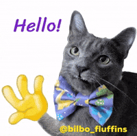 Bilbofluffins GIF