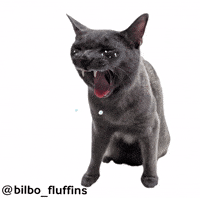 Bilbofluffins GIF