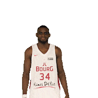 Sport Basketball Sticker by JL Bourg