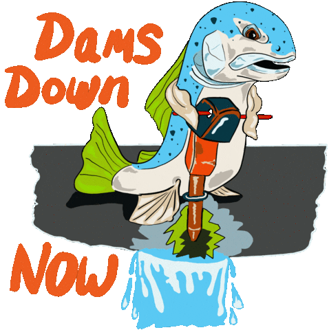 Fish Fishing Sticker by Groovy Great Lakes Flyfishing