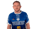 Handball-Bundesliga Handball Sticker by LIQUI MOLY HBL