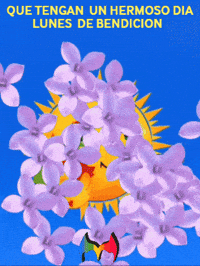 Sol Amigos GIF by Murcianys LLC