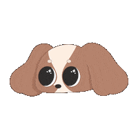 King Charles Spaniel Puppy Sticker