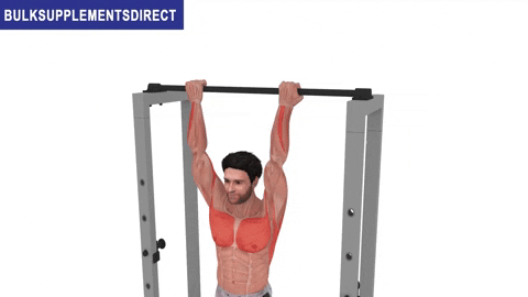 BulkSupplementsDirect giphyupload chin ups bulksupplementsdirectcom short head biceps exercises GIF