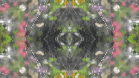 Art Love GIF by jorgemariozuleta
