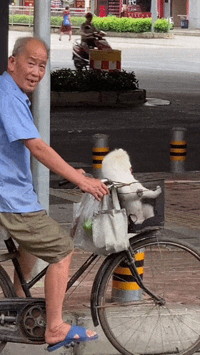 cuteanimalland giphyupload GIF