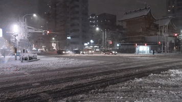 Tokyo Endures Heaviest Snowfall For Four Years