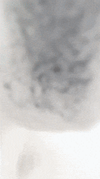 Avatar Appa GIF by Youtooz