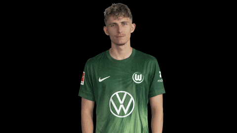 Bundesliga No GIF by VfL Wolfsburg