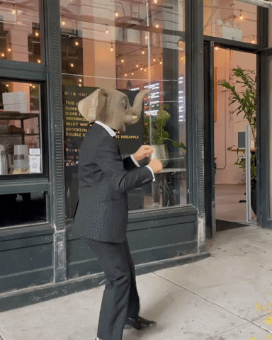 GIF by Dumbo, Brooklyn