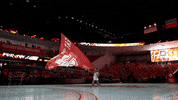 Sasha Go Coogs GIF by University of Houston