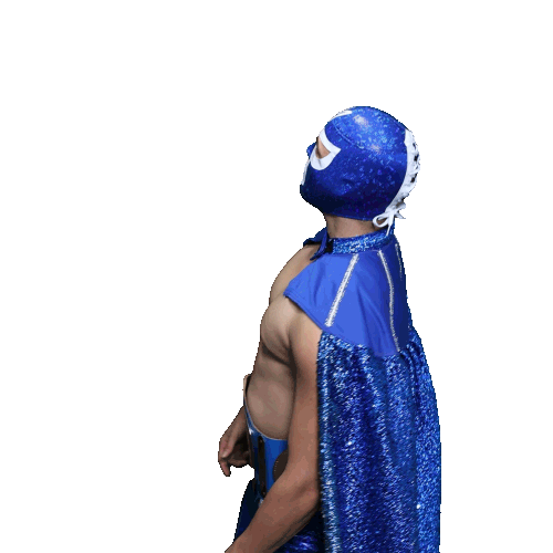 maskadorestacoshopaz wrestling wrestler lucha libre lucha Sticker